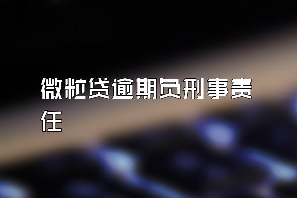 微粒贷逾期负刑事责任