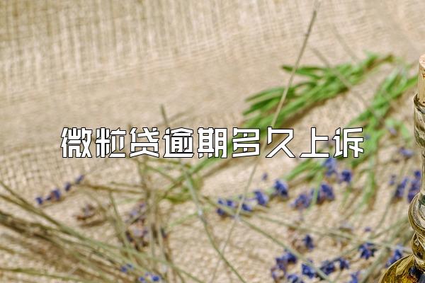 微粒贷逾期多久上诉
