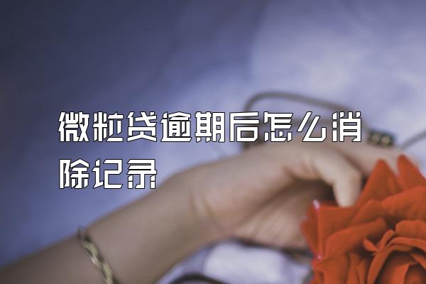 微粒贷逾期后怎么消除记录