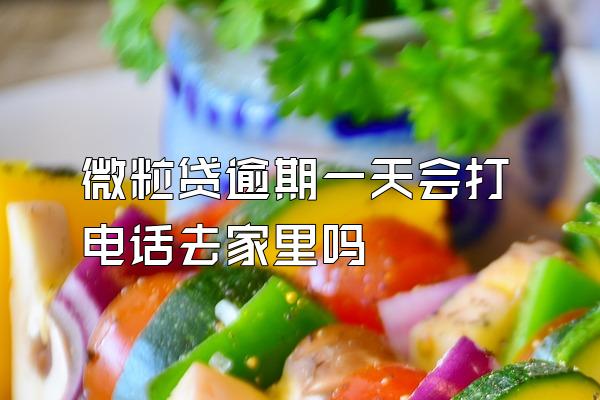 微粒贷逾期一天会打电话去家里吗