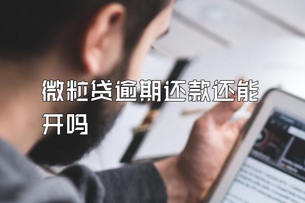微粒贷逾期还款还能开吗