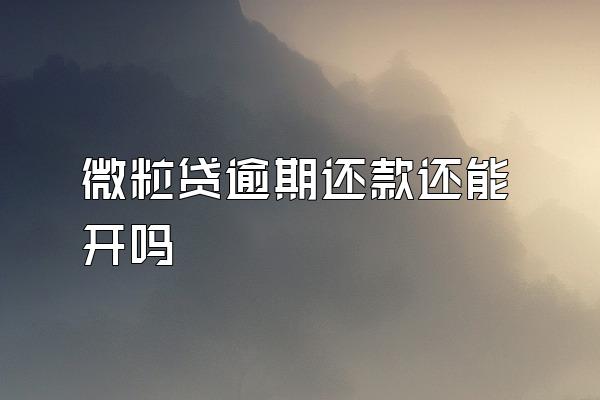 微粒贷逾期还款还能开吗