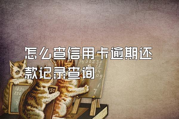 怎么查信用卡逾期还款记录查询