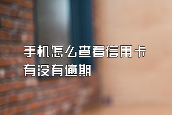 手机怎么查看信用卡有没有逾期