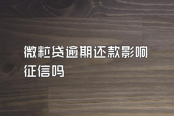 微粒贷逾期还款影响征信吗