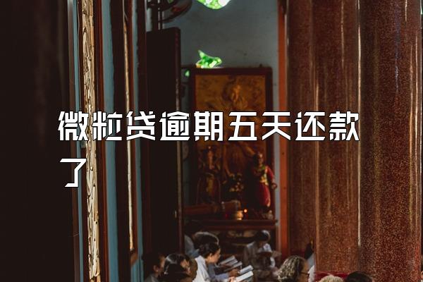 微粒贷逾期五天还款了