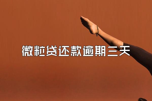 微粒贷还款逾期三天
