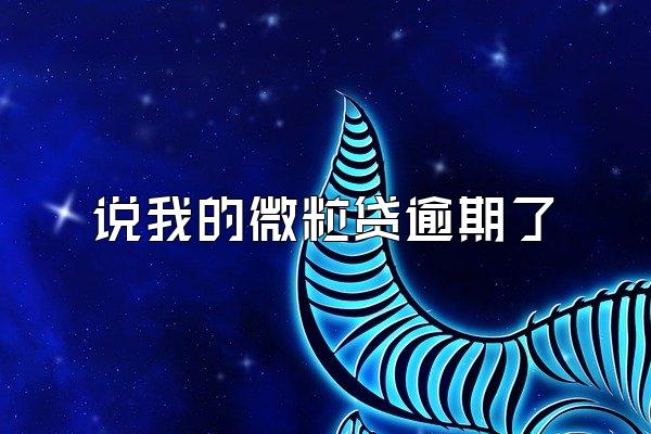 说我的微粒贷逾期了