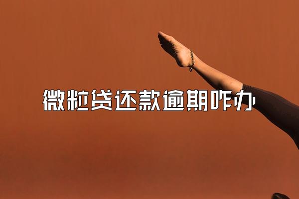 微粒贷还款逾期咋办