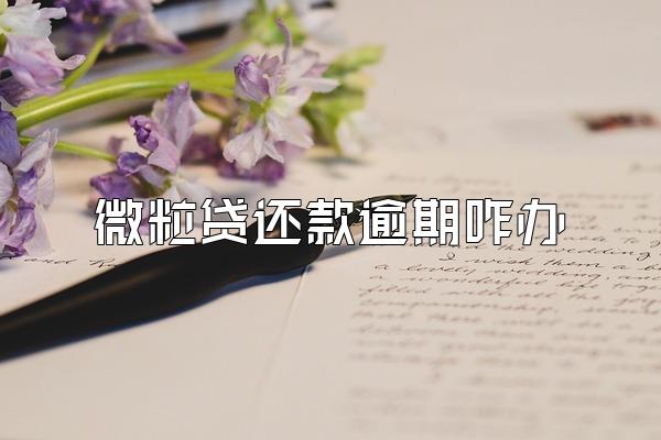 微粒贷还款逾期咋办
