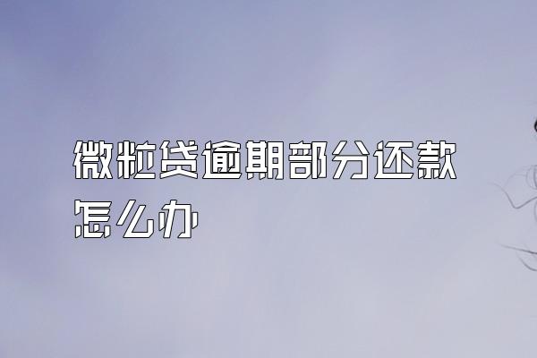 微粒贷逾期部分还款怎么办