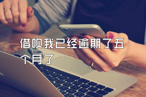 借呗我已经逾期了五个月了