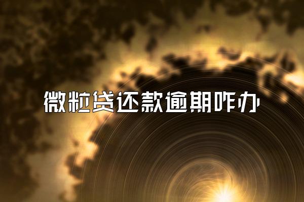 微粒贷还款逾期咋办