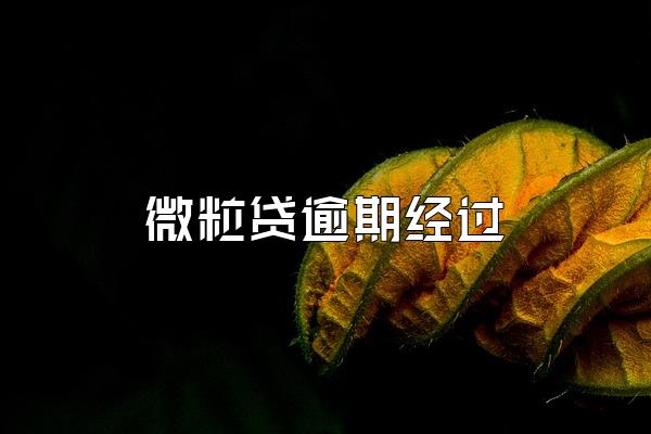 微粒贷逾期经过