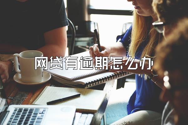 网贷有逾期怎么办