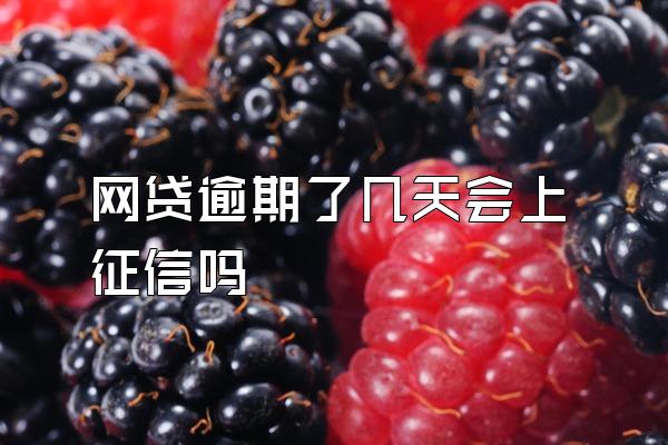 网贷逾期了几天会上征信吗