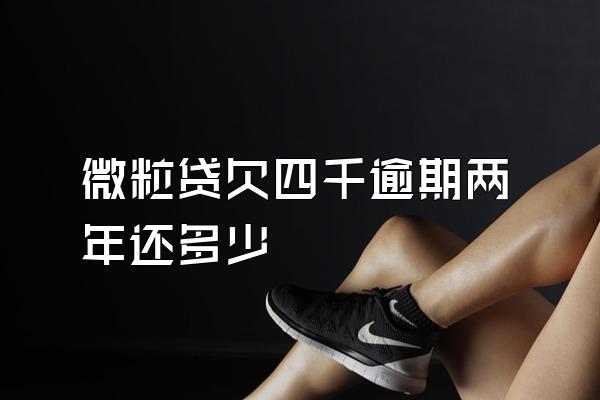 微粒贷欠四千逾期两年还多少