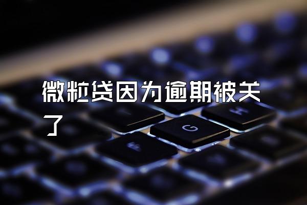 微粒贷因为逾期被关了