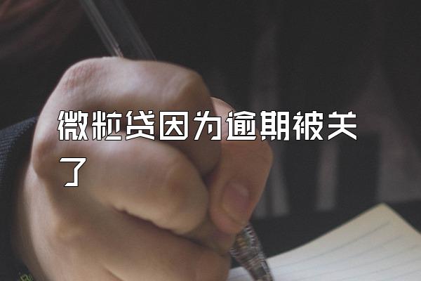 微粒贷因为逾期被关了