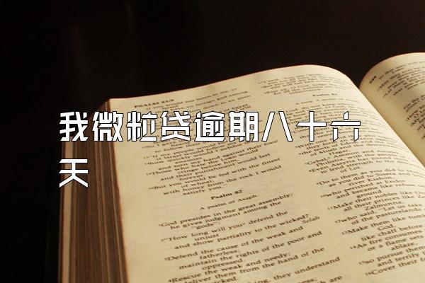 我微粒贷逾期八十六天