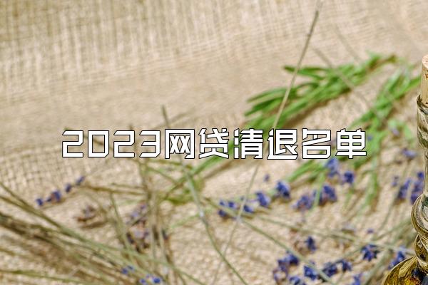 2023网贷清退名单