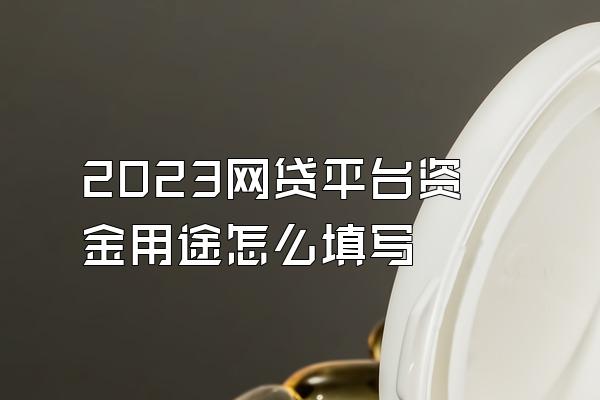 2023网贷平台资金用途怎么填写