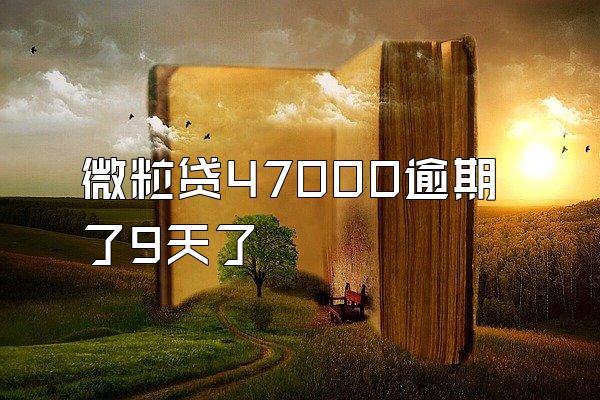 微粒贷47000逾期了9天了