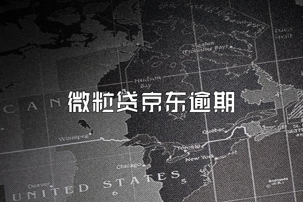 微粒贷京东逾期