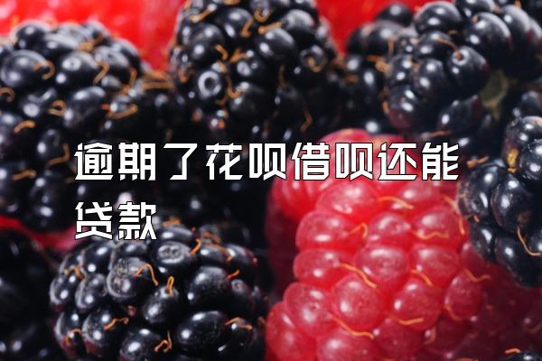 逾期了花呗借呗还能贷款