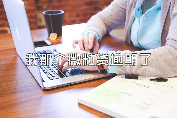 我那个微粒贷逾期了