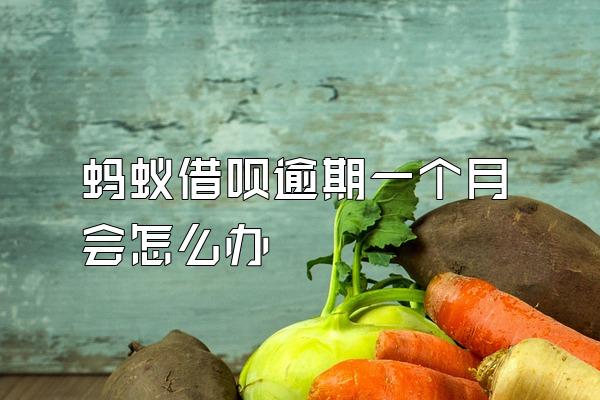 蚂蚁借呗逾期一个月会怎么办