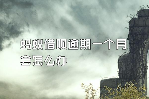蚂蚁借呗逾期一个月会怎么办