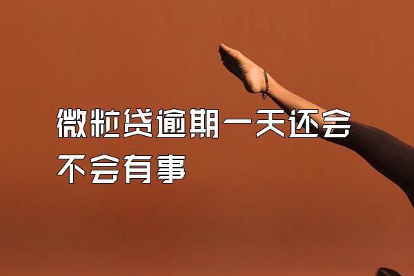微粒贷逾期一天还会不会有事