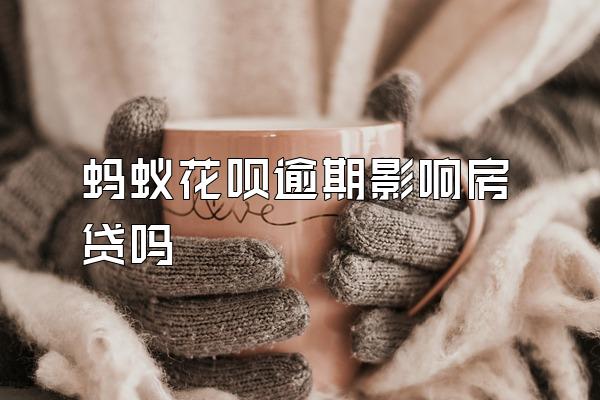 蚂蚁花呗逾期影响房贷吗