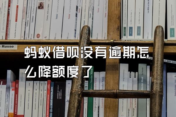 蚂蚁借呗没有逾期怎么降额度了