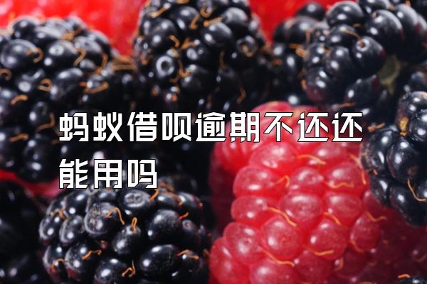 蚂蚁借呗逾期不还还能用吗
