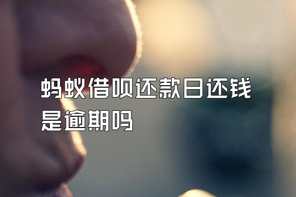 蚂蚁借呗还款日还钱是逾期吗