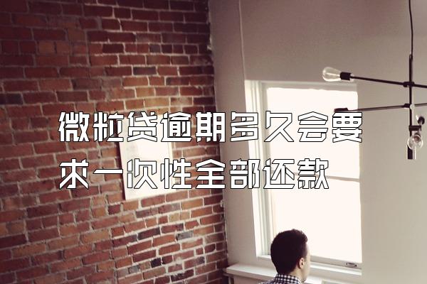 微粒贷逾期多久会要求一次性全部还款