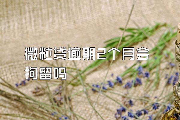 微粒贷逾期2个月会拘留吗