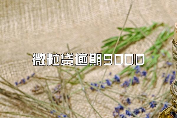 微粒贷逾期9000