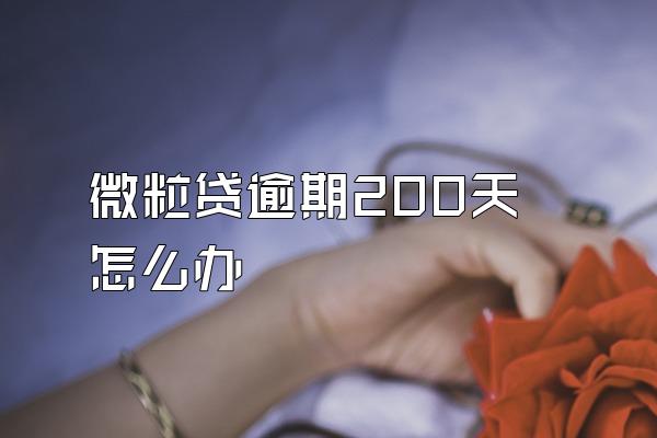 微粒贷逾期200天怎么办