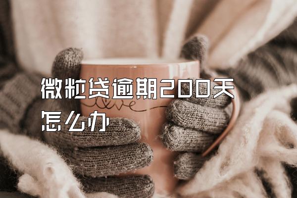 微粒贷逾期200天怎么办