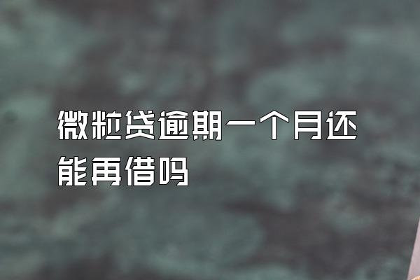 微粒贷逾期一个月还能再借吗