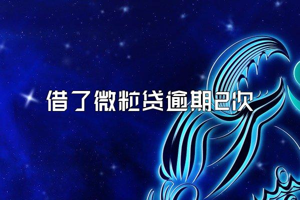 借了微粒贷逾期2次