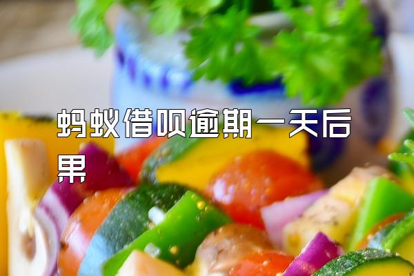蚂蚁借呗逾期一天后果