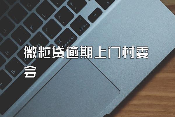 微粒贷逾期上门村委会