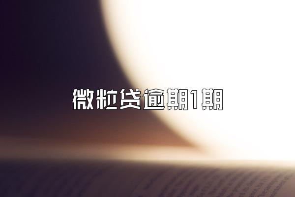 微粒贷逾期1期