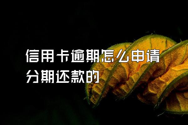 信用卡逾期怎么申请分期还款的