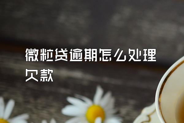 微粒贷逾期怎么处理欠款