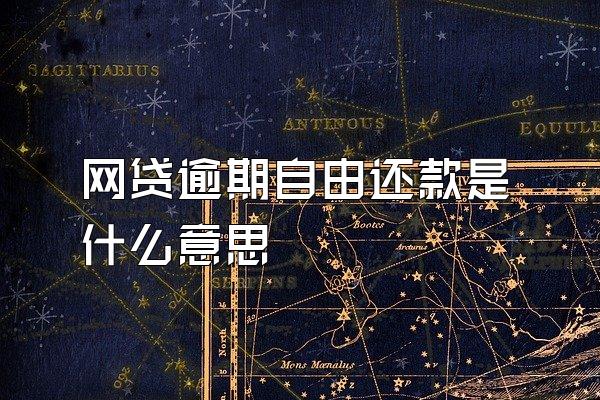 网贷逾期自由还款是什么意思
